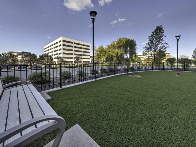 For those pet lovers, the TGM NorthShore Apartment is also offering a spacious Bark Park for your pet to engage during playtime, featuring a pet-friendly environment and peaceful place to stay.
